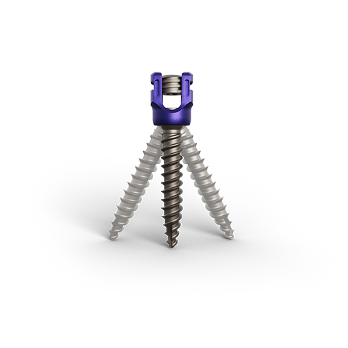 AEONEX Screw Options
