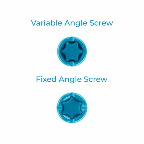 NeoCervix Components
