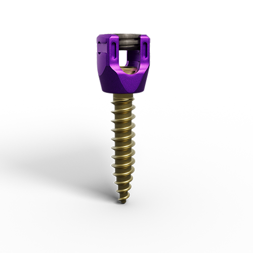 Zenex Pedicle Screw Detail